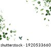 spring leaf background