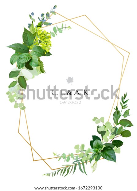 Herbal Minimalist Vector Frame Hand Painted Stock Vector (Royalty Free ...