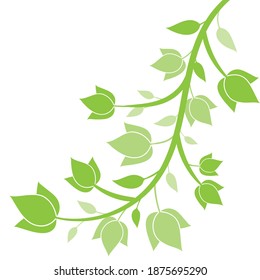 Herbal minimalistic vector frame. Branch with fresh green leaves.