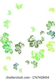 Herbal minimalistic vector frame. Greens Flying Pattern. Greenery wedding invitation.