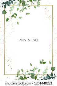 Herbal minimalistic vector frame. Hand painted plants, branches, leaves on white background. Greenery wedding square invitation. Watercolor style. Gold line art. All elements are isolated and editable