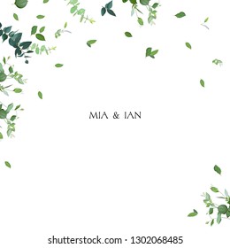 Marco vectorial minimalista herbal. Plantas pintadas a mano, ramas, hojas sobre fondo blanco. Invitación a una boda verde. Estilo acuarela. Diseño de tarjetas naturales. Todos los elementos son aislados y editables.