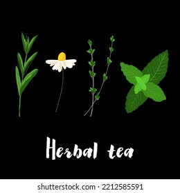 Herbal mint, chamomile, thyme, stevia illustration on black background