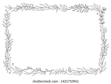 herbal mix vector frame in line style. Hand draw plants, branches and leaves on white background. Natural leafy card design. Coloring frame