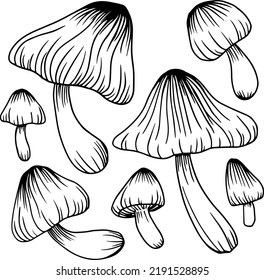 Herbal Mushroom Line Art Hand-drawn Illustration 