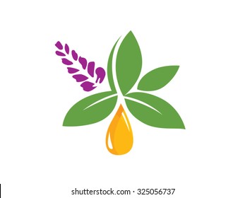 Herbal Oil