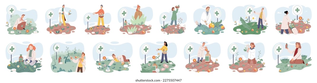 Herbal oils natural medicines. Scientist or doctor making alternative medicine herb, mortar, laboratory glassware plant in tube, flower. Doctor checking medicinal herbs. Herbal medicine. Drug research