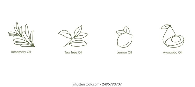 Herbal Oils Vector Icons: Rosemary, Tea Tree, Lemon, Avocado