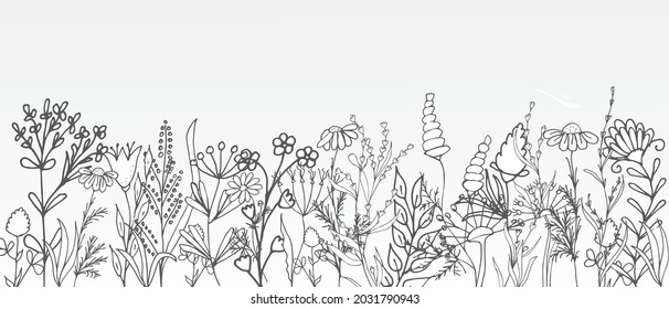 Herbal pattern for label packaging design. Hand drawn botanical set with flowers. Vector illustration
background