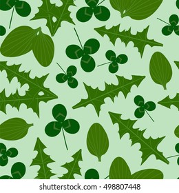 Herbal pattern. Plantain, clover, dandelion