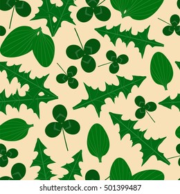 Herbal pattern. Plantain, clover, dandelion