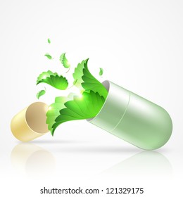 herbal pill vector illustration