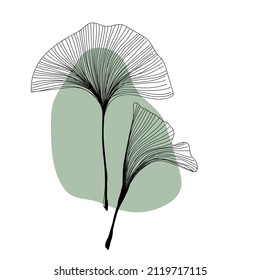 Herbal plant ginkgo line art freehand in modern trendy style. Minimalistic modern line art Flower with abstract shape background for print, beauty and fashion. vector illustration