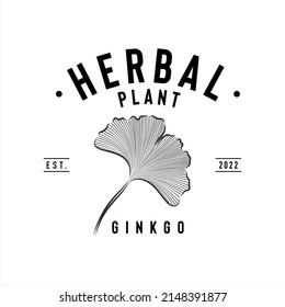 Herbal plant logo, ginkgo biloba logo design idea, vector illustration