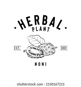 Herbal plant logo, noni logo design idea, vector illustration