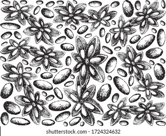 Herbal Plants, Hand Drawn Illustration Background of Dried Star Anise, Star Aniseed or Illicium Verum Used for Seasoning in Cooking.