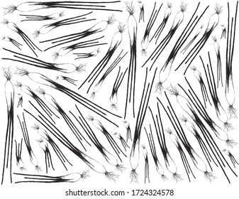 Herbal Plants, Illustration Hand Drawn Sketch Background of Fresh Shallots, Spanish Onions, or Red Onions Used for Seasoning in Cooking. 