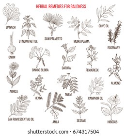 Herbal remedies for baldness. Hand drawn vector set of medicinal plants