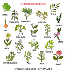 Herbal remedies for baldness. Hand drawn vector set of medicinal plants