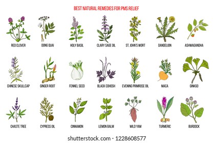 Herbal Remedies for PMS premenstrual syndrome. Hand drawn vector set of medicinal plants