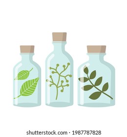 Herbal remedies vector illustration. Three glass jars filled with plants.