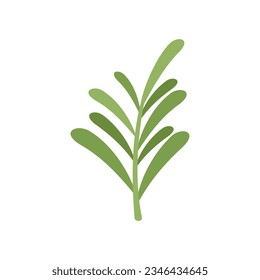 Herbal rosemary icon flat vector. Herb plant. Leaf branch isolated