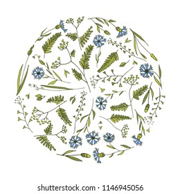 Herbal round vector illustration with wildflowers, herbs, leaves and twigs. Hand drawn floral elements