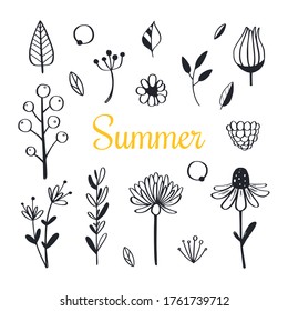 Herbal rustic and floral doodle set. Vector hand drawn botanical illustration. Summer forest doodles. Isolated objects on white