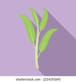 Herbal Sage Icon Flat Vector. Herb Plant. Leaf Aromatic