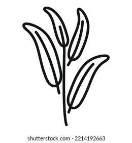 Herbal Sage Icon Outline Vector. Herb Plant. Leaf Aromatic