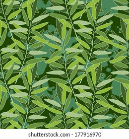 Herbal seamless pattern