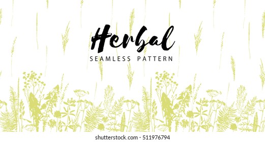 Herbal seamless pattern. Botanical border. Vector grass background. Design element for green, organic, eco, herbal medicine and other uses.