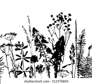 Herbal seamless pattern. Botanical border. Vector grass background. Design element for green, organic, eco, herbal medicine and other uses.