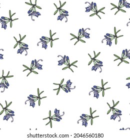 Herbal seamless pattern with rosemary in bloom on white background. Backdrop with blooming fragrant herb. Elegant vector illustration in vintage style for wrapping paper, fabric print, wallpaper