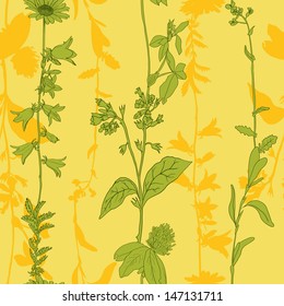 Herbal seamless pattern, vector illustration