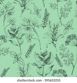 Herbal seamless vector background with herbs and spices on green . Hand drawn spices in vintage style. For prints, fabric and wrapping and other design in natural style.