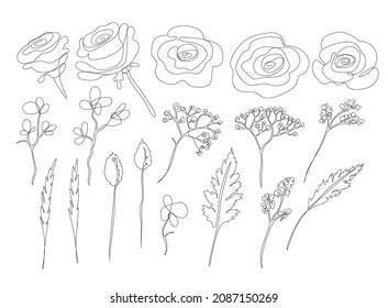 Herbal set. One line. Vector clip art