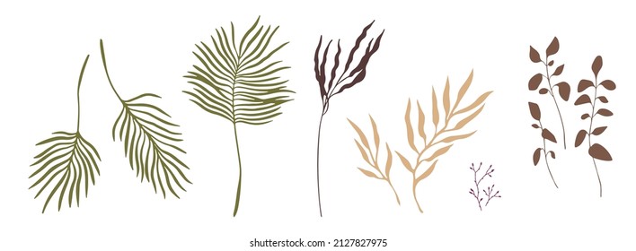 Herbal silhouettes of simple leaf plants. Dry leaves elements for interior bouquets in boho style. Vector shapes.