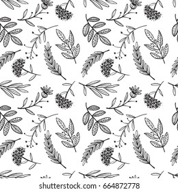 herbal sketch, detox. Seamless pattern design