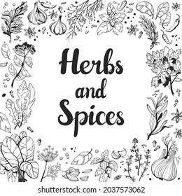 
Herbal and spice print. Square frame with lettering. Vector illustration isolated on white background. 
Linear graceful botanical drawing