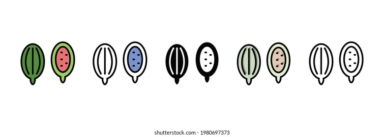 herbal spice vector type icon