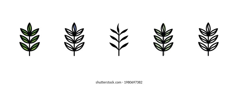 herbal spice vector type icon