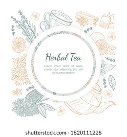 Herbal Tea Banner Template with Space for Text, Cafe, Restaurant Menu or Tea Shop Design Hand Drawn Vector Illustration