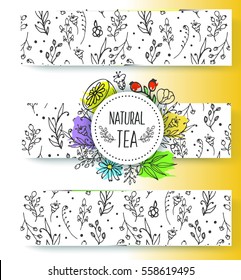 Herbal tea banners collection. Organic herbs and wild flowers. Hand sketched fruits and berries illustration. Flower and leaves branches. Floral vector design.