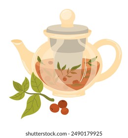 Herbal tea brewed in glass teapot with healing herb and berries. Aromatic hot drink in pot with fruits, medicinal plants. Flat vector illustration isolated on white background