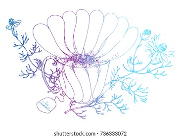 herbal tea with chamomile