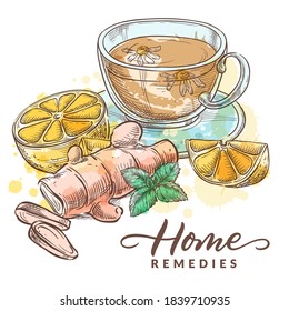 Herbal tea with chamomile, lemon, ginger and mint. Home remedies treatment and medicines for colds, flu, coughs. Vector hand drawn watercolor sketch illustration. Healthcare natural herbal therapy