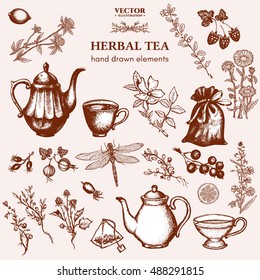 Herbal tea collection hand drawn ink herbal tea design vector 