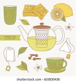 Herbal tea, collection of hand drawn objects. Set of colorful elements, design illustration vector