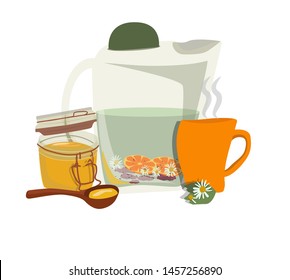 Herbal tea. The concept of healthy natural products, treatment of colds.  Green tea in a glass teapot, a mug and a jar of honey.  Vector illustration on white background.